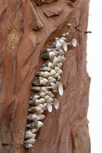 Carica l'immagine nel visualizzatore di Gallery, Baikà n.10 - Emergere - 44,5cm x 49cm VENDUTO