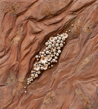Carica l'immagine nel visualizzatore di Gallery, Baikà n.10 - Emergere - 44,5cm x 49cm VENDUTO