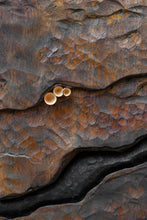Carica l'immagine nel visualizzatore di Gallery, Baikà n.29 - Studio di una frattura - 87cm x 80cm
