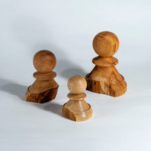Carica l'immagine nel visualizzatore di Gallery, "Sopravvissuti" - Pedoni numerati in legno di Orniello, Melo e Ciliegio (in mostra)