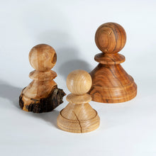 Carica l'immagine nel visualizzatore di Gallery, "Sopravvissuti" - Pedoni numerati in legno di Orniello, Melo, Ciliegio