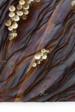 Carica l'immagine nel visualizzatore di Gallery, Baikà n.11 - Come d'incanto - 44,5cm x 49cm (in mostra)