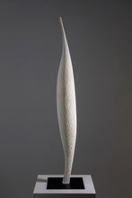 Carica l'immagine nel visualizzatore di Gallery, Evidenti Problemi Organici