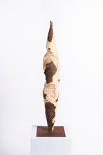 Carica l'immagine nel visualizzatore di Gallery, Rovine
