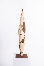 Carica l'immagine nel visualizzatore di Gallery, Rovine
