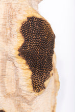 Carica l'immagine nel visualizzatore di Gallery, Rovine
