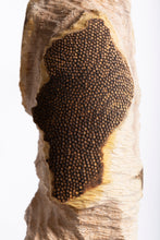 Carica l'immagine nel visualizzatore di Gallery, Rovine
