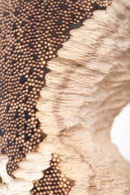 Carica l'immagine nel visualizzatore di Gallery, Rovine
