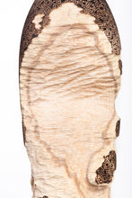 Carica l'immagine nel visualizzatore di Gallery, Rovine
