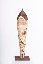 Carica l'immagine nel visualizzatore di Gallery, Rovine
