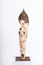 Carica l'immagine nel visualizzatore di Gallery, Rovine
