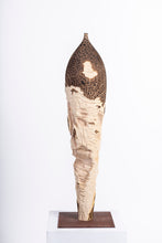 Carica l'immagine nel visualizzatore di Gallery, Rovine
