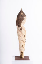 Carica l'immagine nel visualizzatore di Gallery, Rovine
