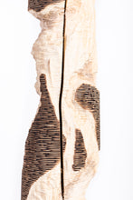 Carica l'immagine nel visualizzatore di Gallery, Rovine - Trittico
